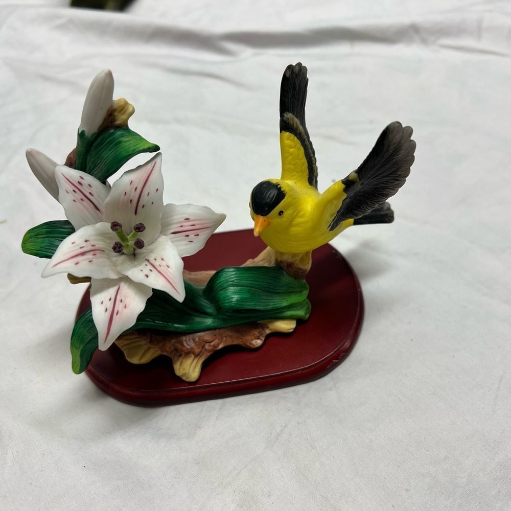Bird collection - Picture 9 of 16